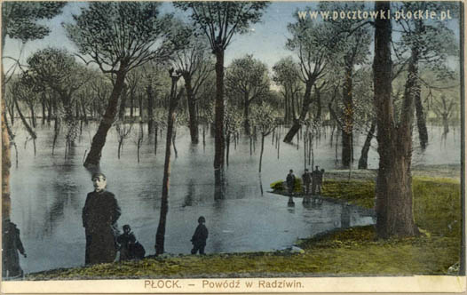 P�ock. Pow�d� w Radziwin. Nak�ad M. Kowalski.