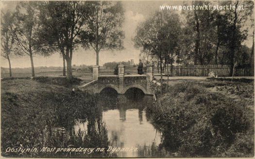 Gostynin. Most prowadzący na Dybankę.
